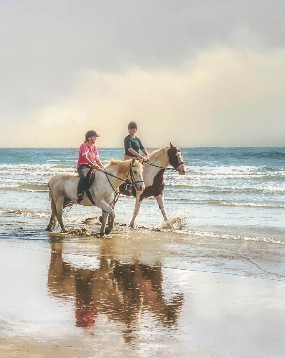 Cheval Essaouira Maroc