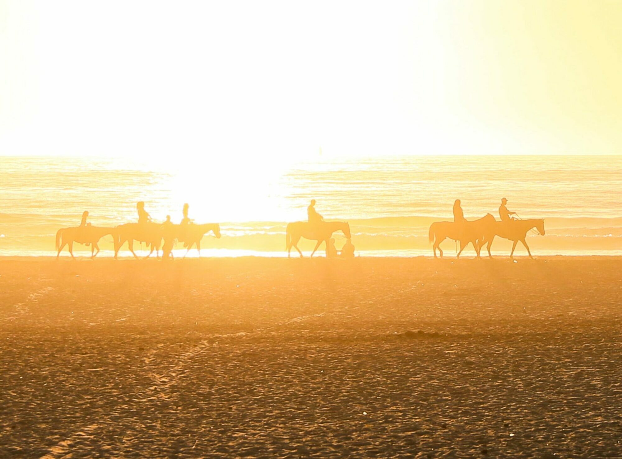 Horse riding Essaouira